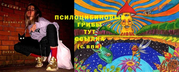 гидра Алзамай