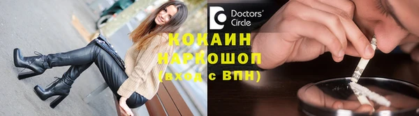 сатива Дмитровск