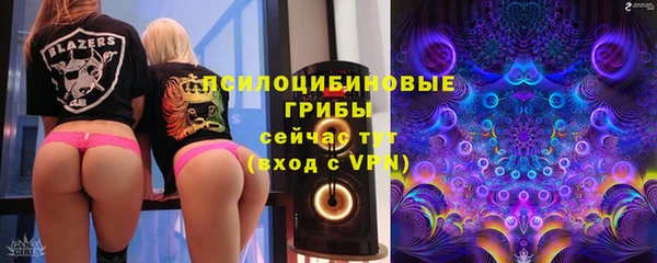 прущие грибы Алексин