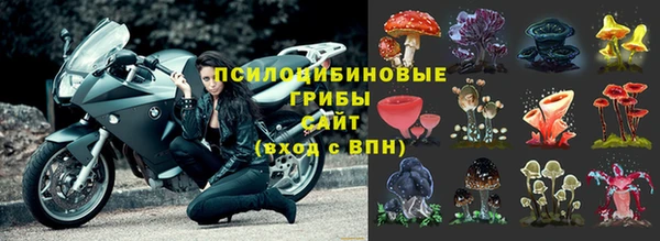 прущие грибы Алексин
