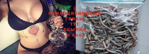 прущие грибы Алексин