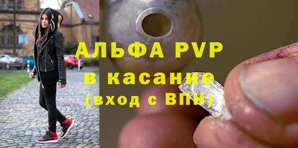 прущие грибы Алексин