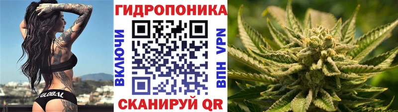mega вход  Сясьстрой  Каннабис тримм 